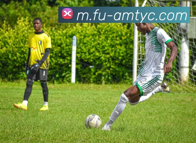 太阳城网站APP 封面图